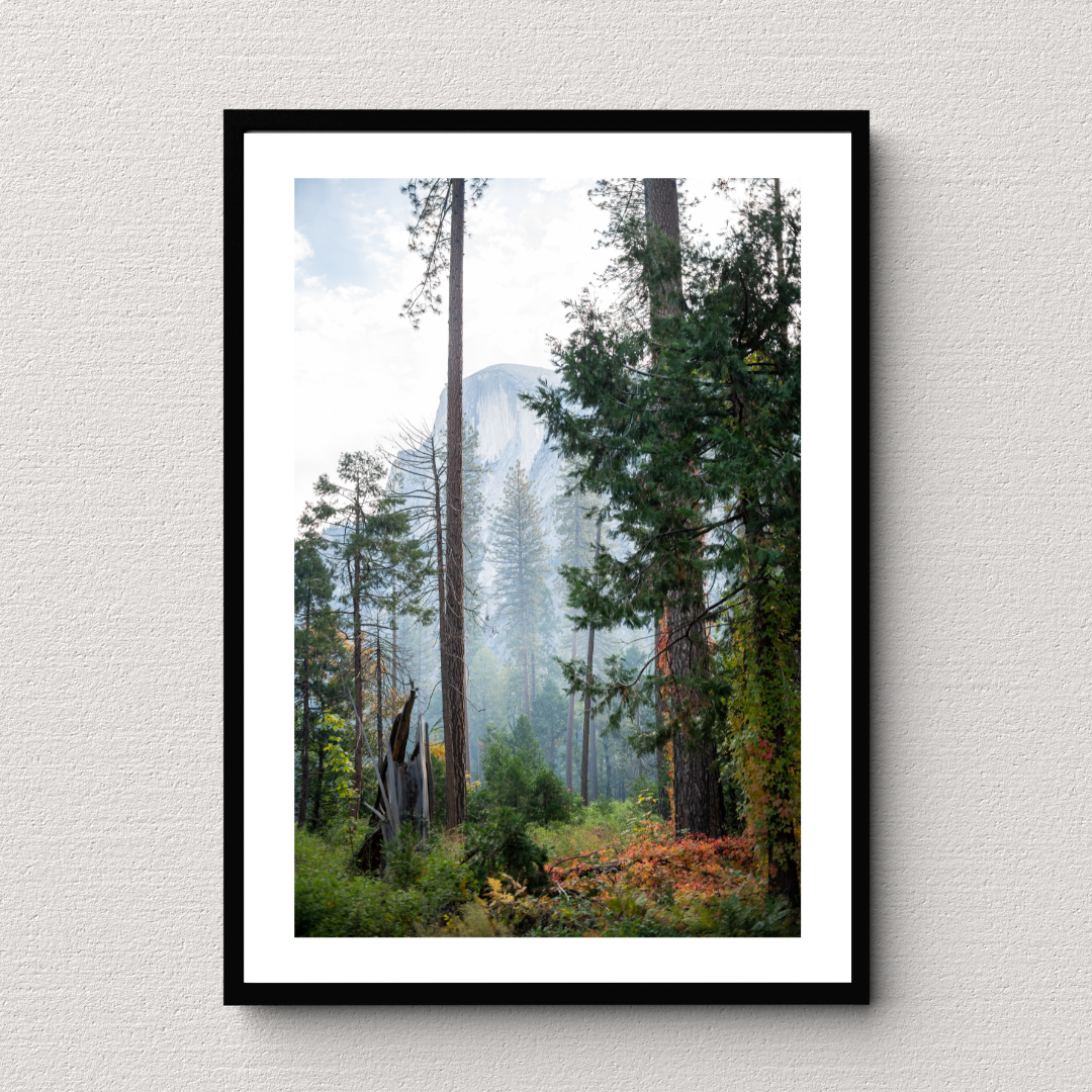 "Shoulder Season" (Yosemite National Park, CA)