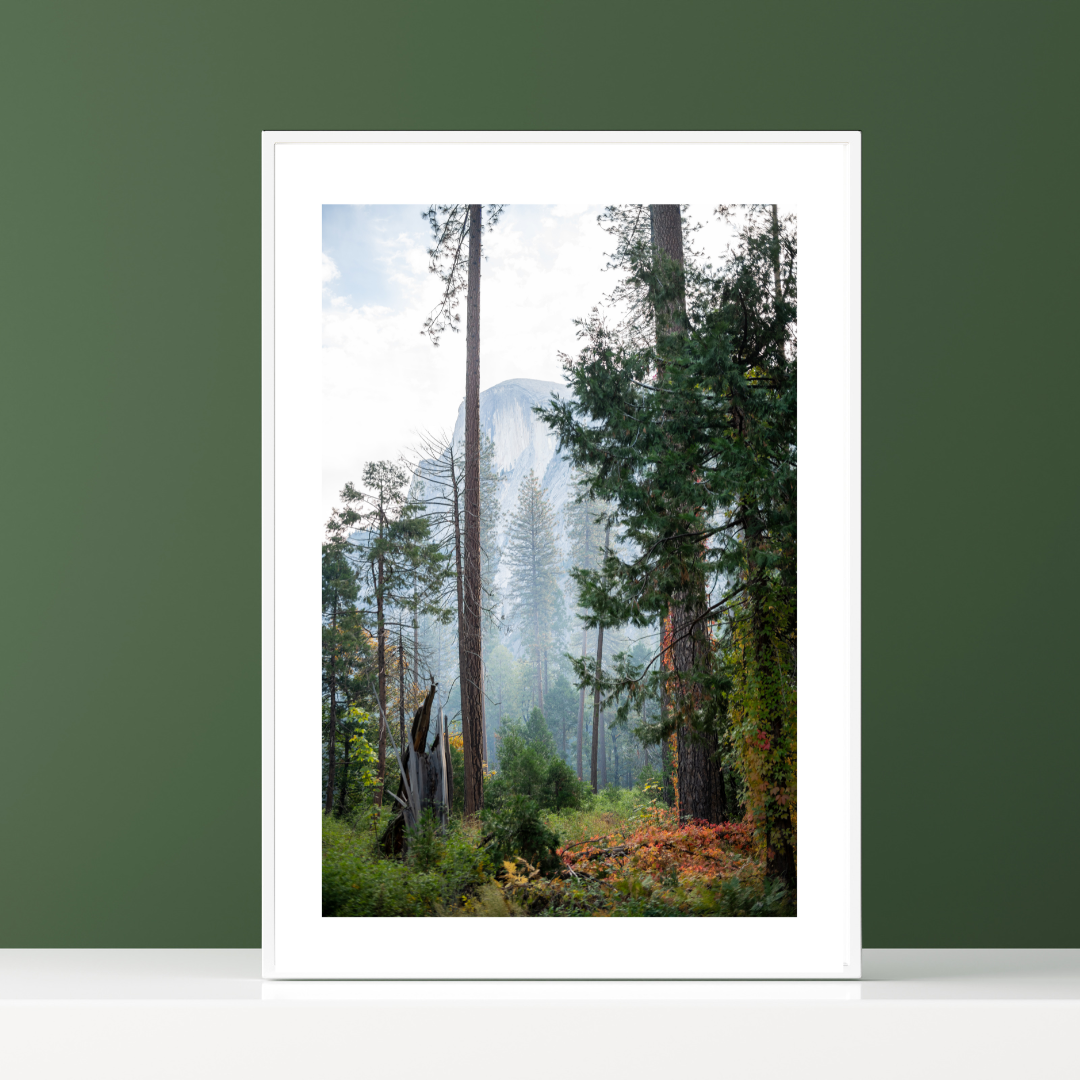 "Shoulder Season" (Yosemite National Park, CA)