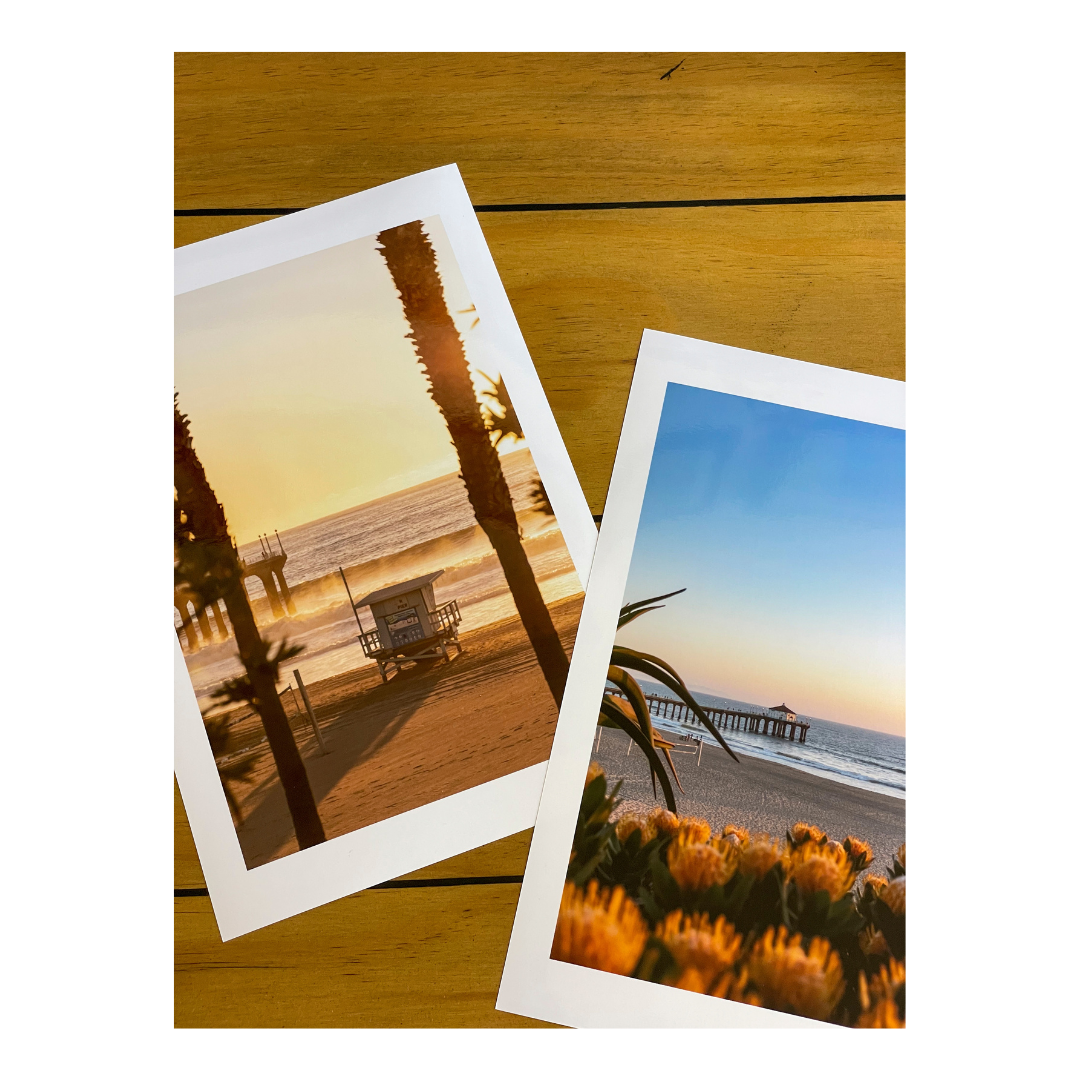 "Beach Blooms" (Manhattan Beach, CA)
