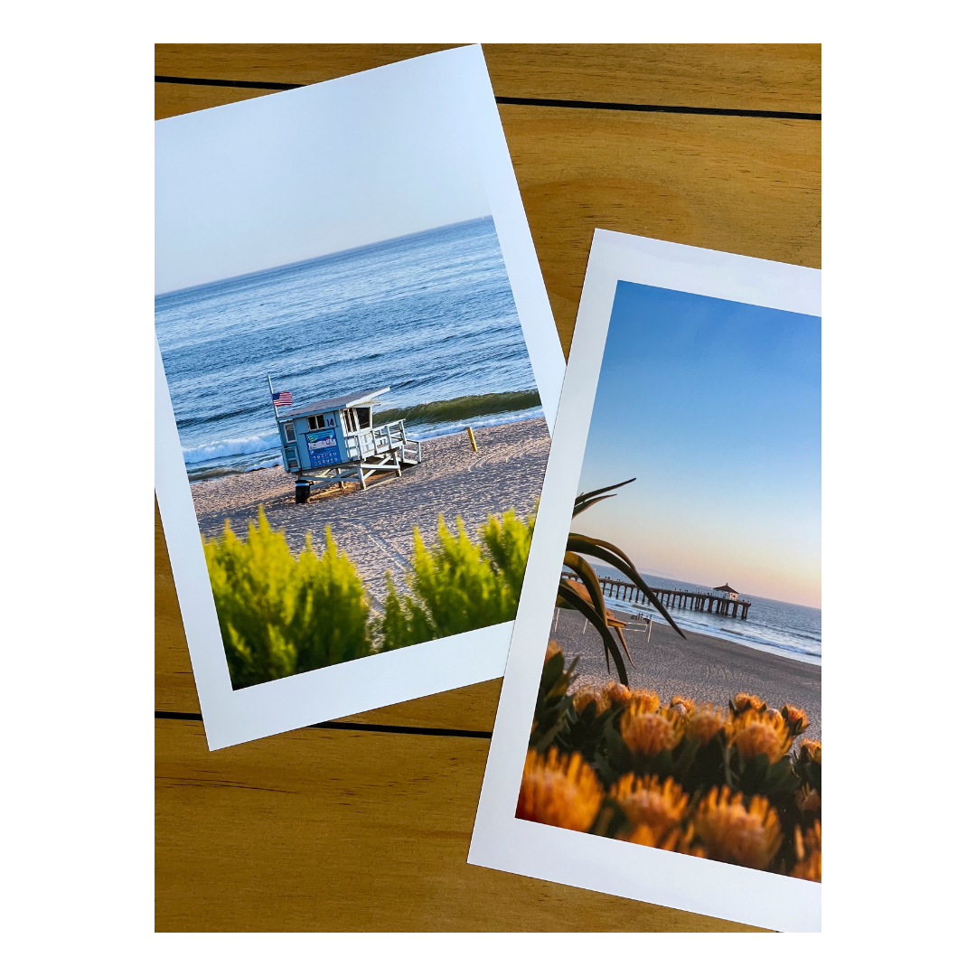 "Beach Blooms" (Manhattan Beach, CA)