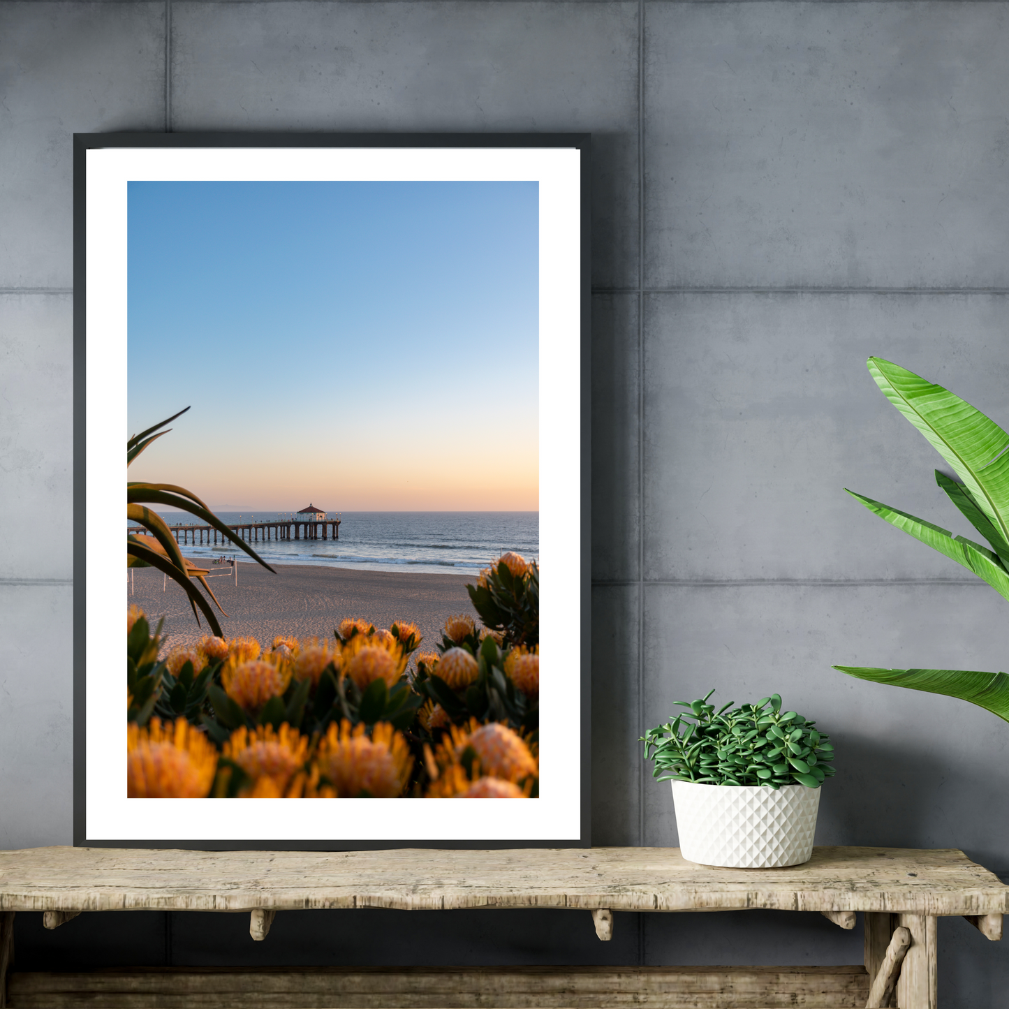 "Beach Blooms" (Manhattan Beach, CA)