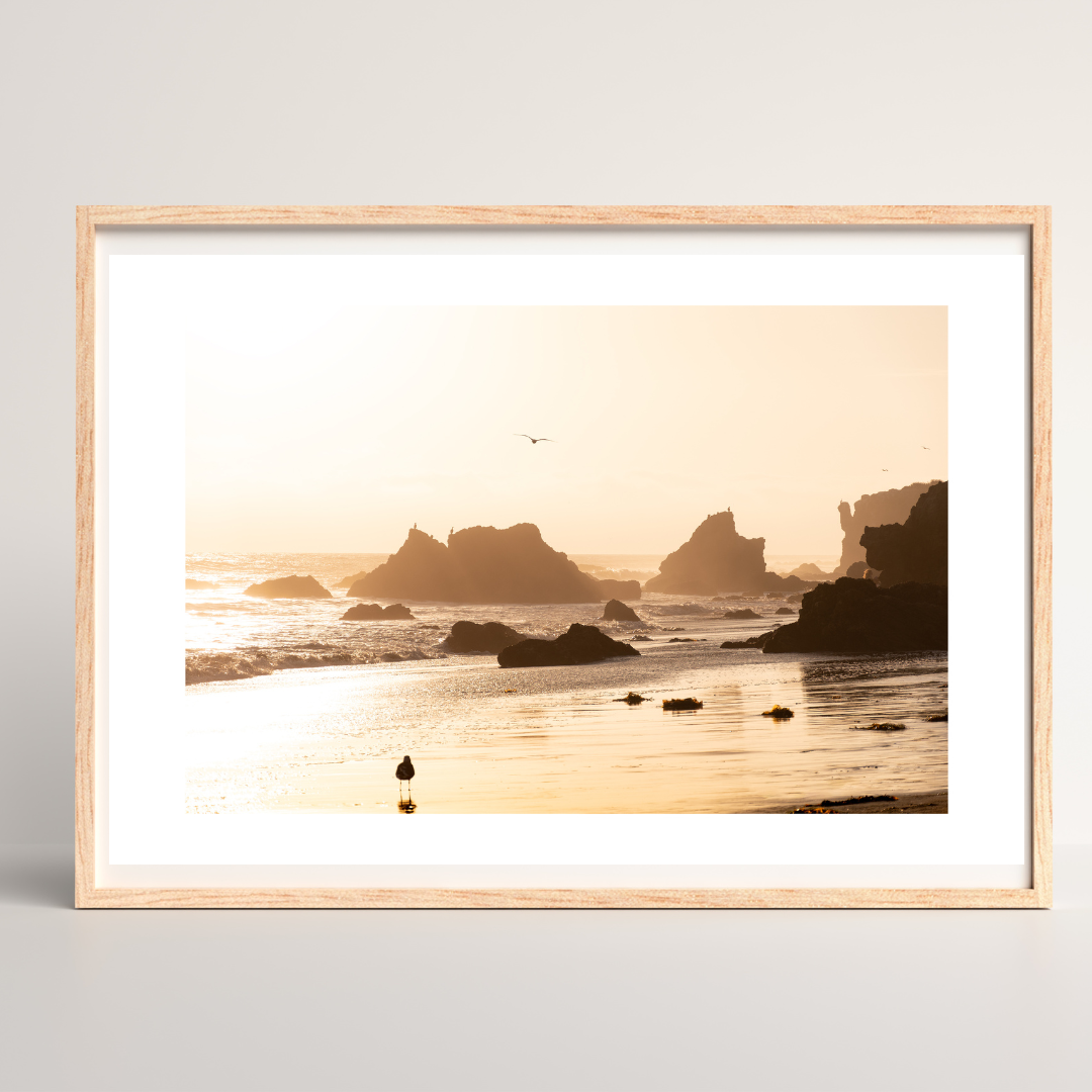 "Endless Summer" (Malibu, CA)