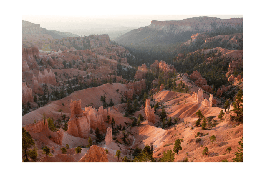 "First Light" (Bryce Canyon National Park, UT)