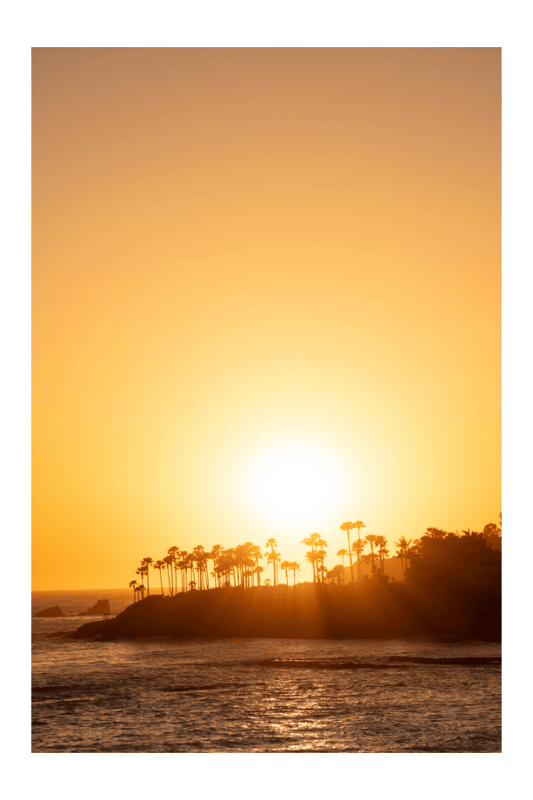 "Beaming" (Laguna Beach, CA)