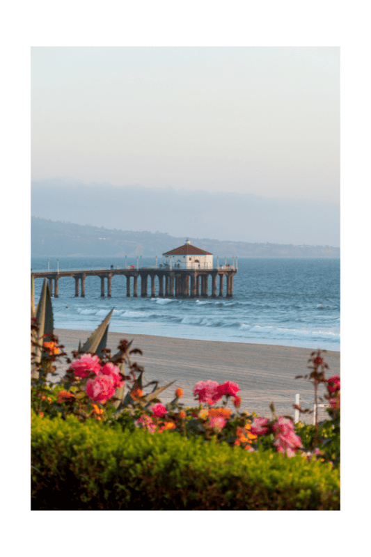 "Rosy View" (Manhattan Beach, CA)