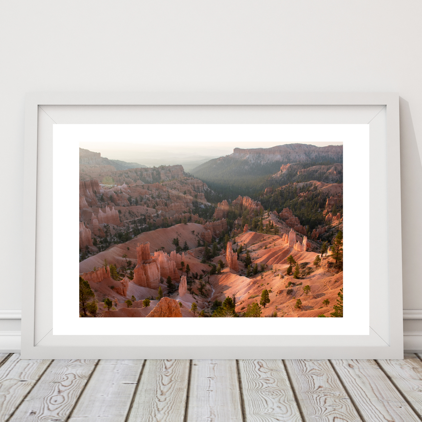 "First Light" (Bryce Canyon National Park, UT)