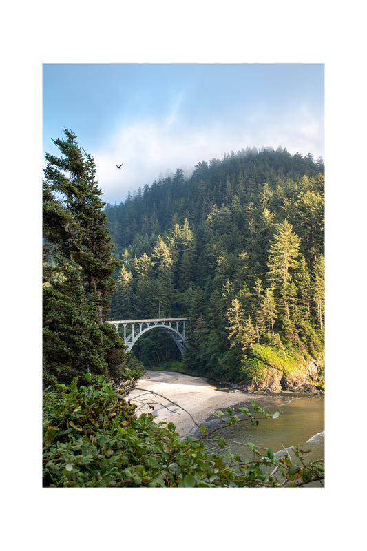 "Trees to Sea" (Florence, OR)